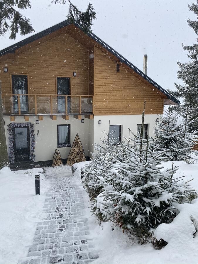 Шале Gogodz Chalet Resort Яблоница-4